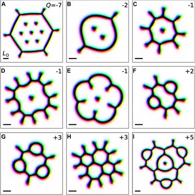 Tailed skyrmions—An obscure branch of magnetic solitons